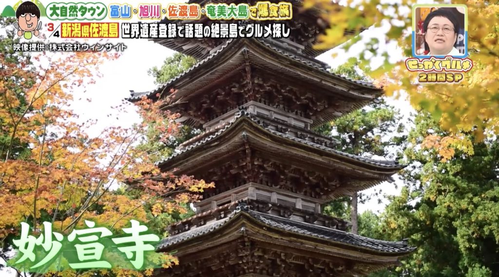 TBS バナナマンのせっかくグルメ！！！！