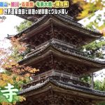 TBS バナナマンのせっかくグルメ！！！！